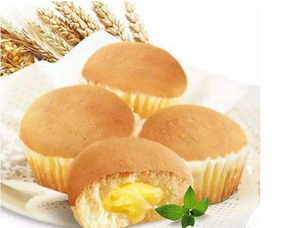 烘焙食品企業diy的體驗營銷模式研究