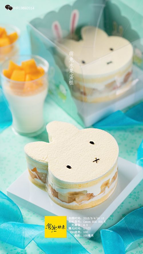 小兔水果蛋糕 沈陽烘焙制造 沈陽食品攝影 沈陽博格奧餐飲設(shè)計 忽然映象 食品 攝影